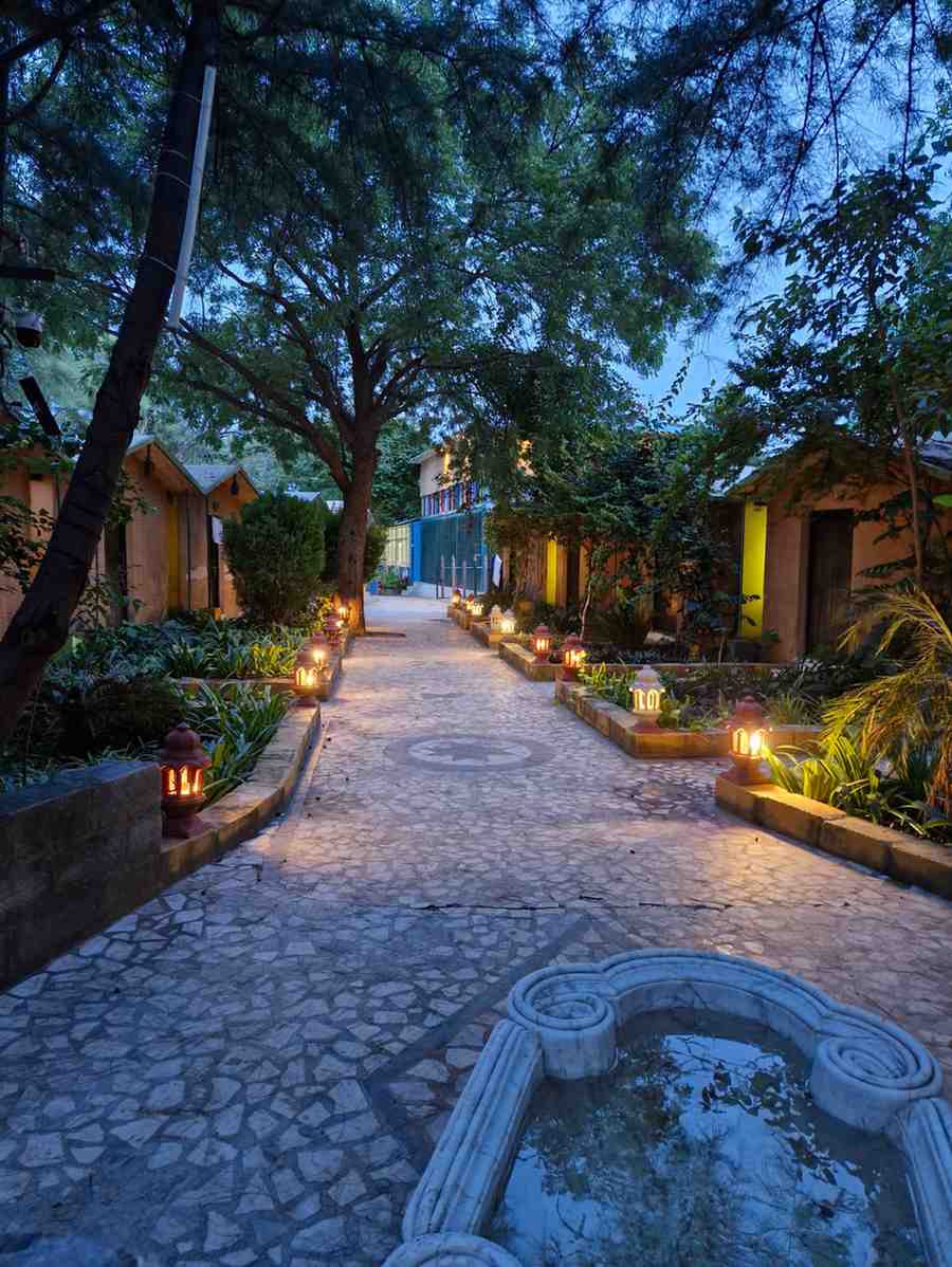 Beautiful Night Pathway