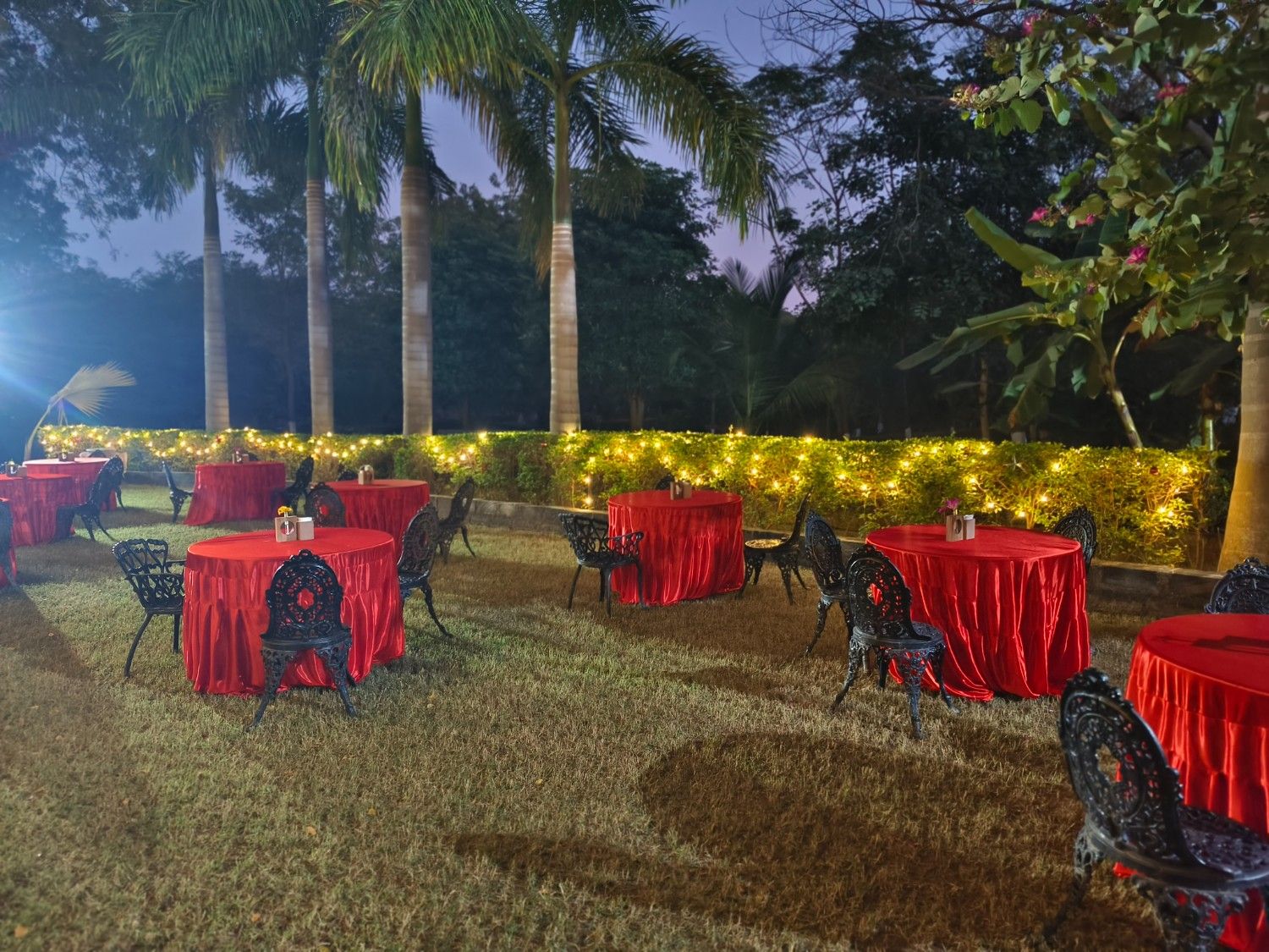 Outdoor Festive Setup