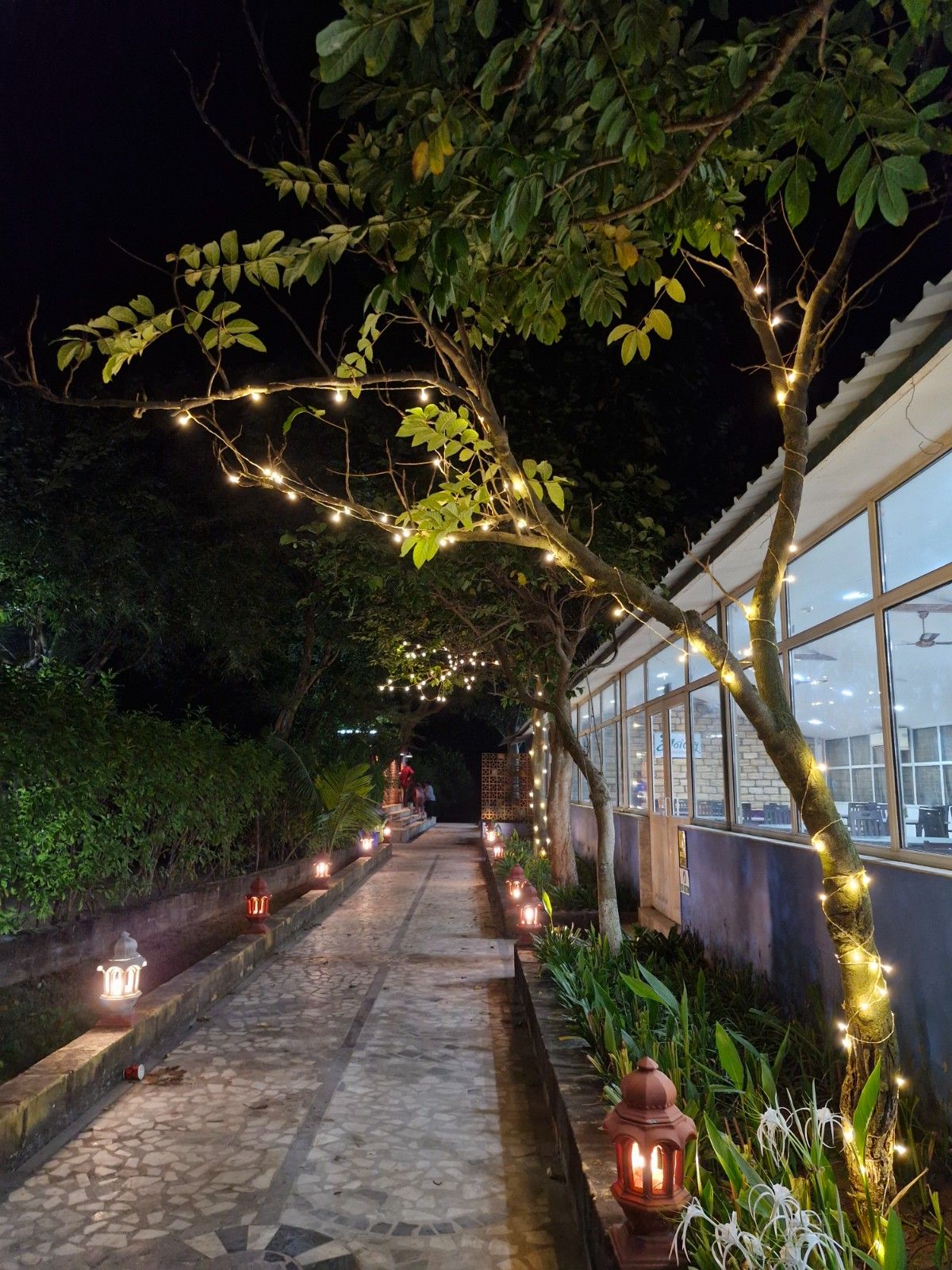 Pathway with fairy lights