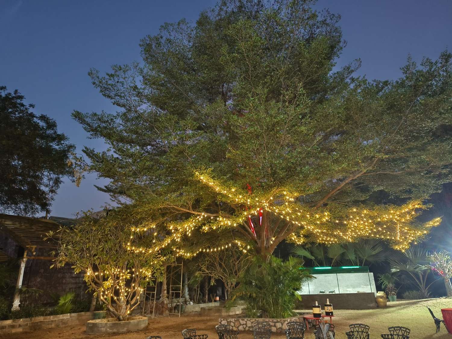 Group of children and two adults cutting a cake that says Happy Father&rsquo;s Day on a decorated table.