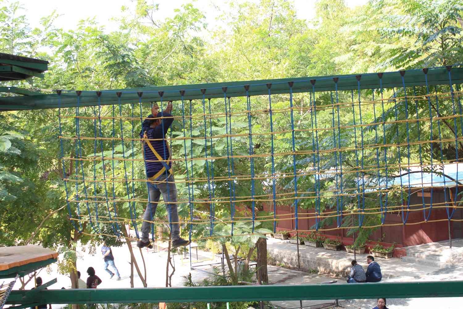 Navigating the climbing net