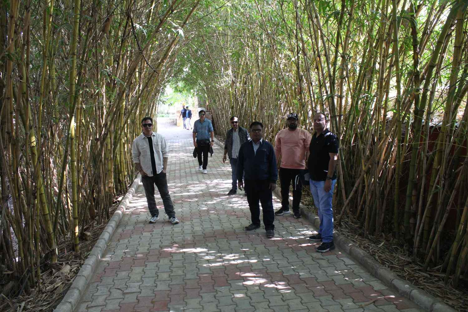 Men walking through bamboo tunnel