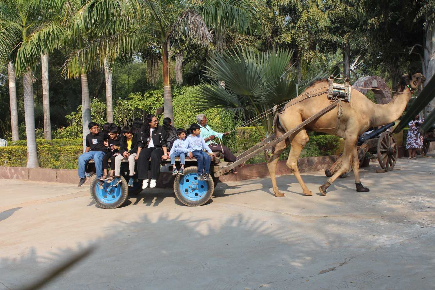 Group enjoying a traditional camel cart ride at the resort