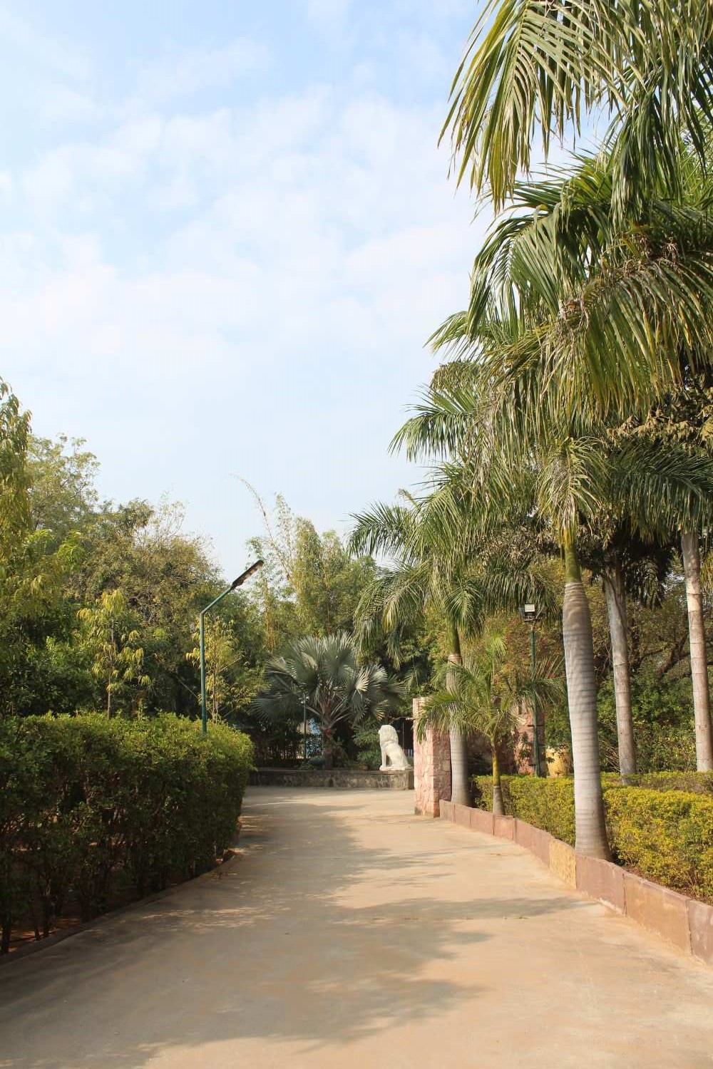 Peaceful paved walkway lined with palm trees at the event venue